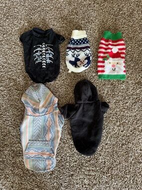 Assorted Cat Sweater Set